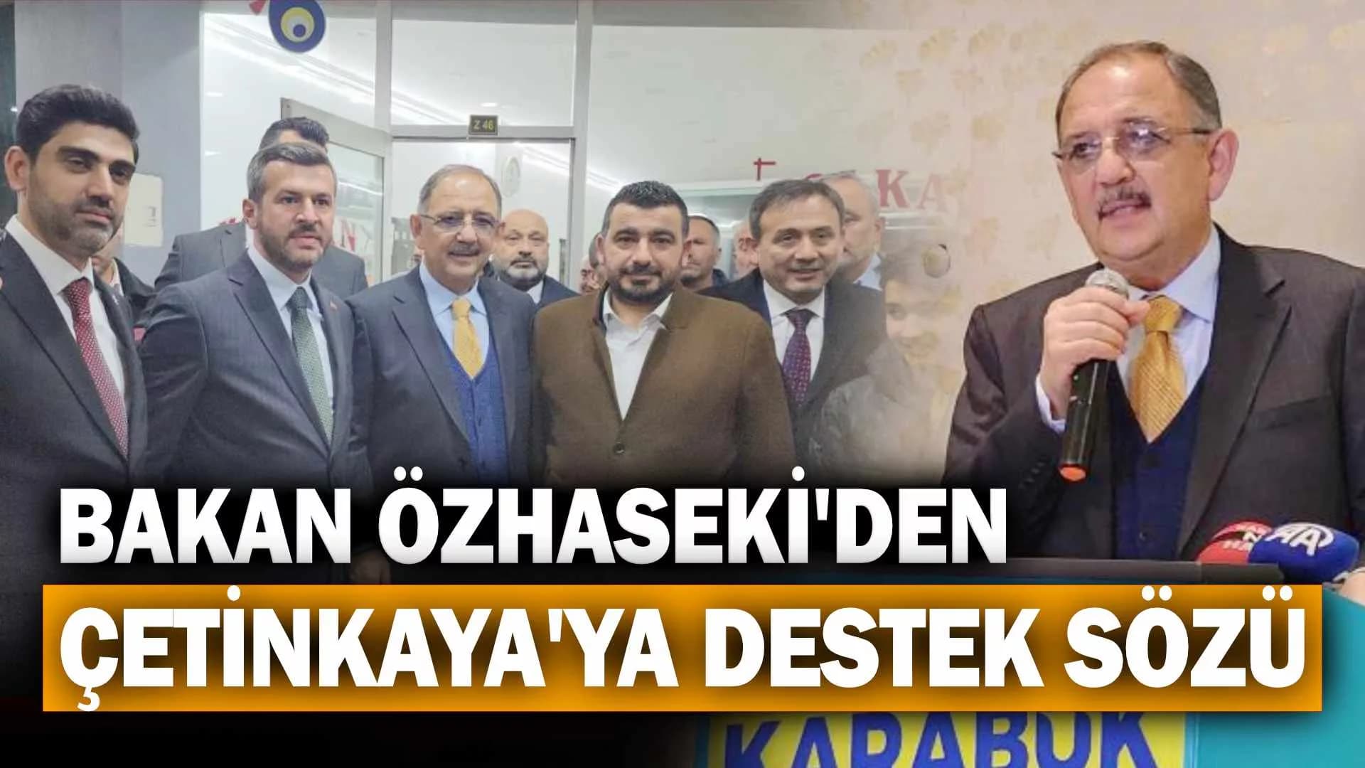 Bakan Özhaseki, Çetinkaya'nın projelerine destek sözü verdi
