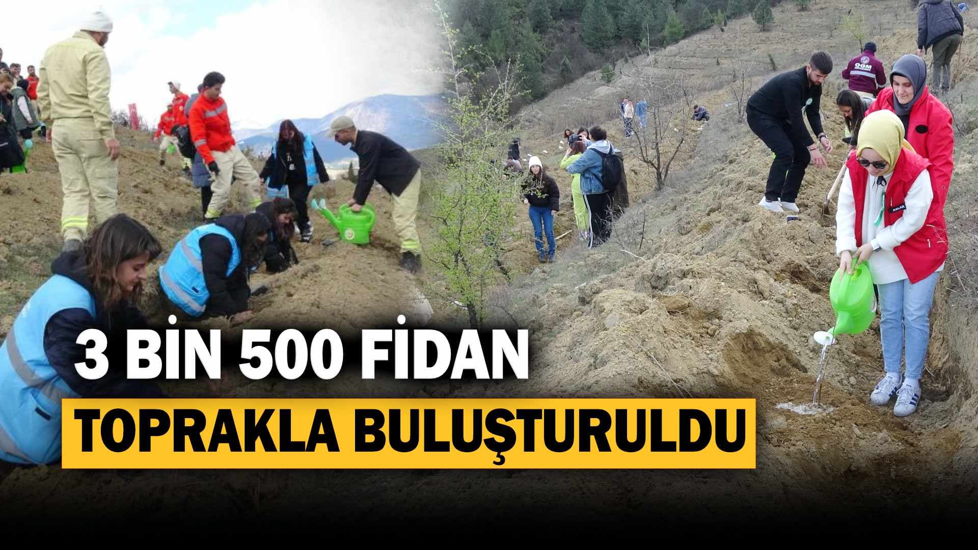 Karabük’te 3 bin 500 fidan toprakla buluşturuldu