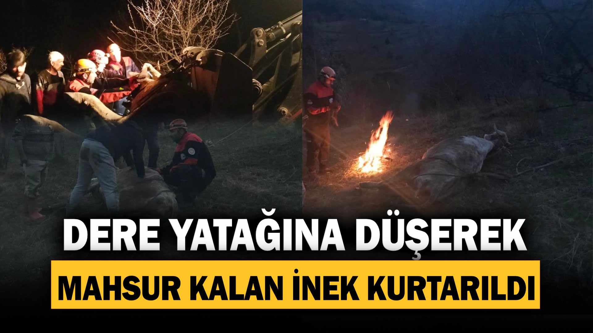 Dere Yatağına Düşerek Mahsur Kalan İnek Kurtarıldı
