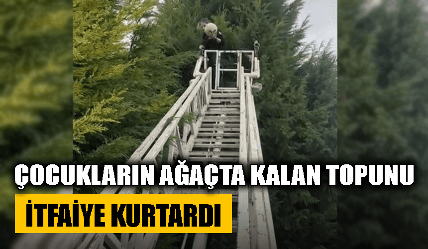 Çocukların ağaçta kalan topunu itfaiye kurtardı
