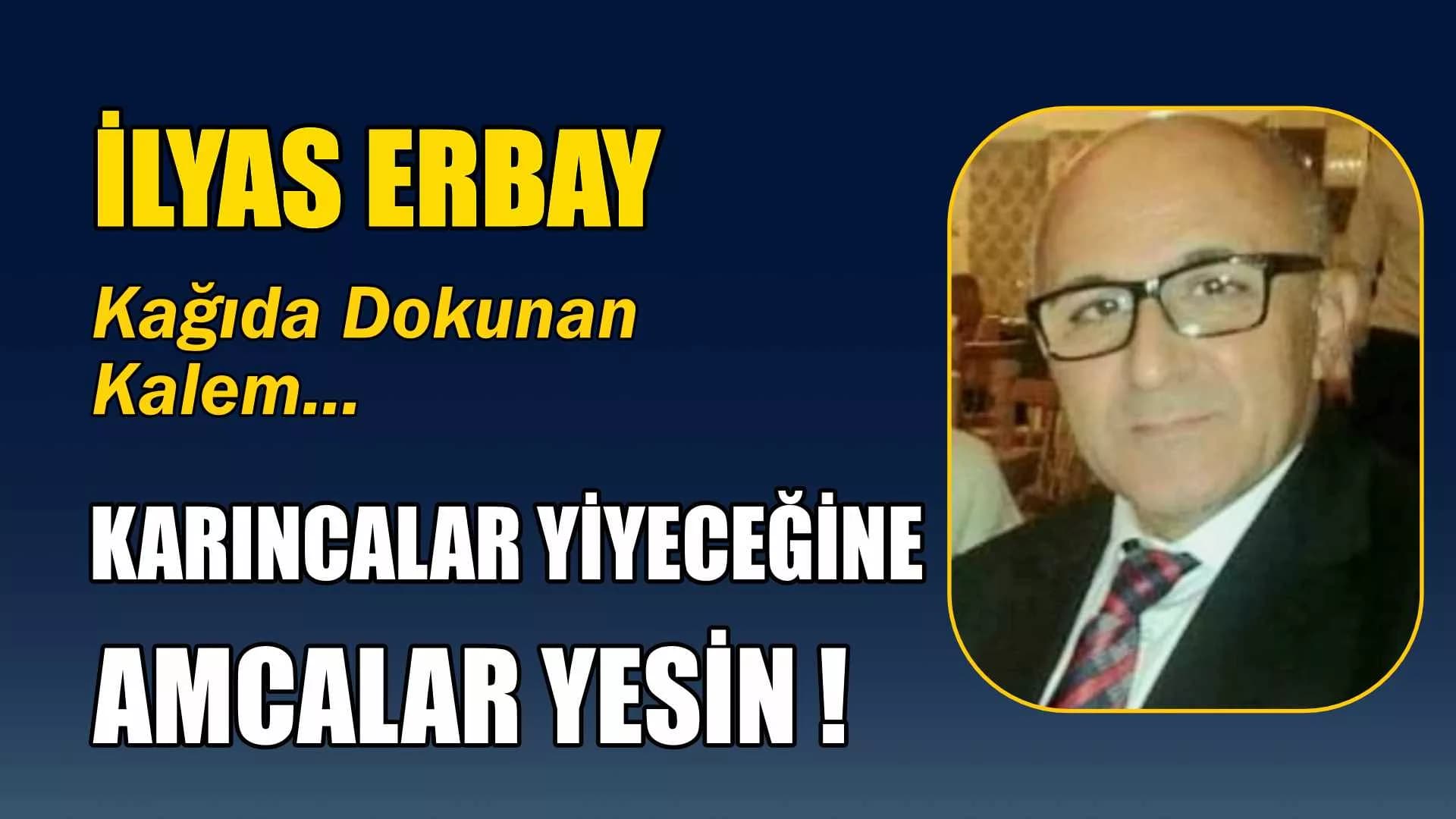 KARINCALAR YİYECEĞİNE AMCALAR YESİN !