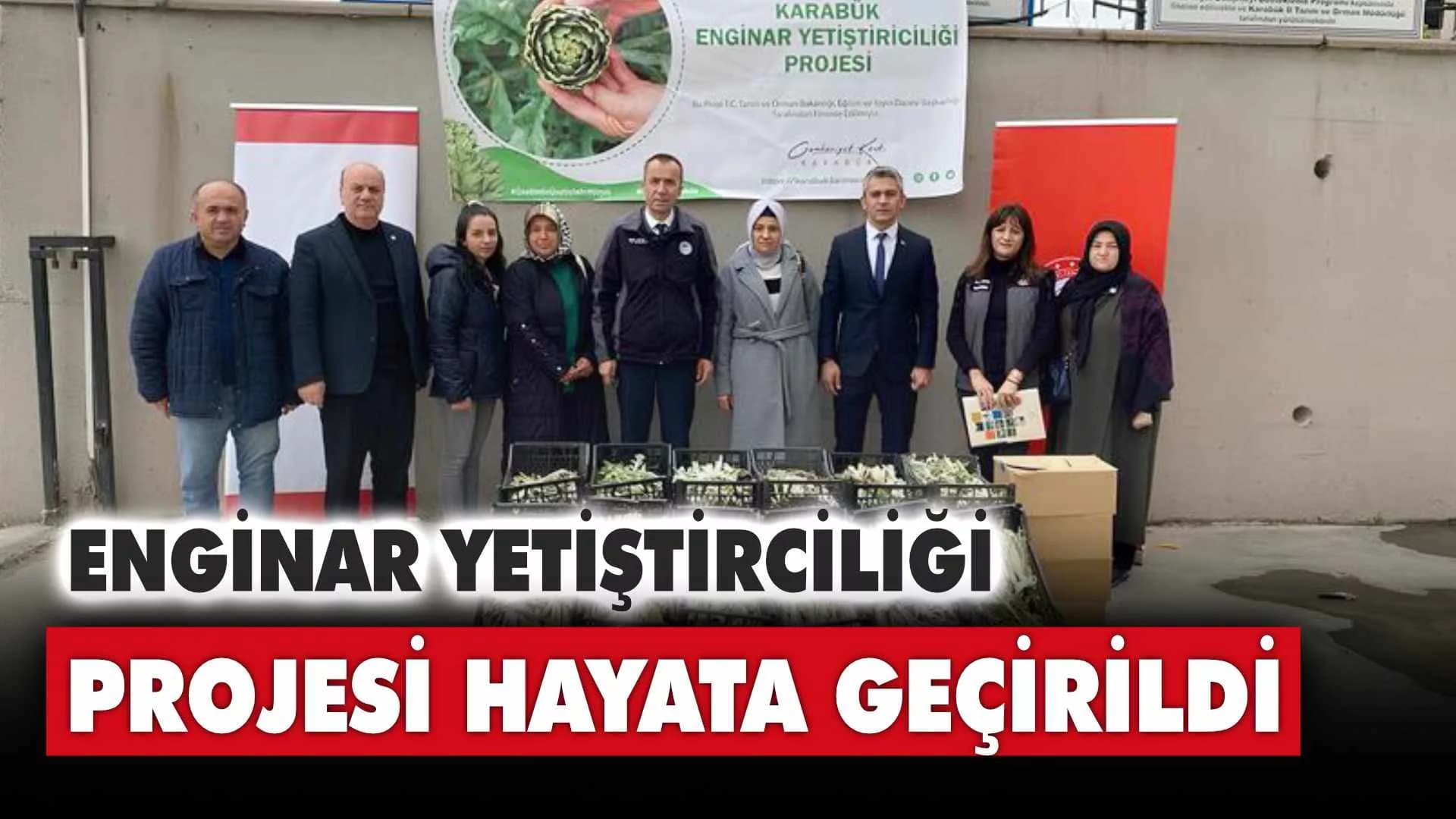 Karabük'te Enginar Yetiştiriciliği Projesi Hayata Geçirildi
