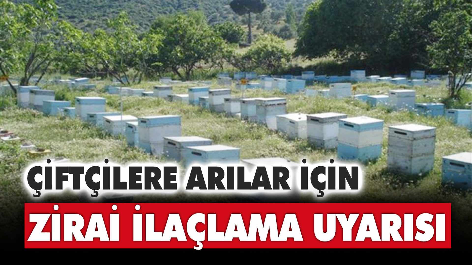 Çiftçilere Arılar İçin Zirai İlaçlama Uyarısı