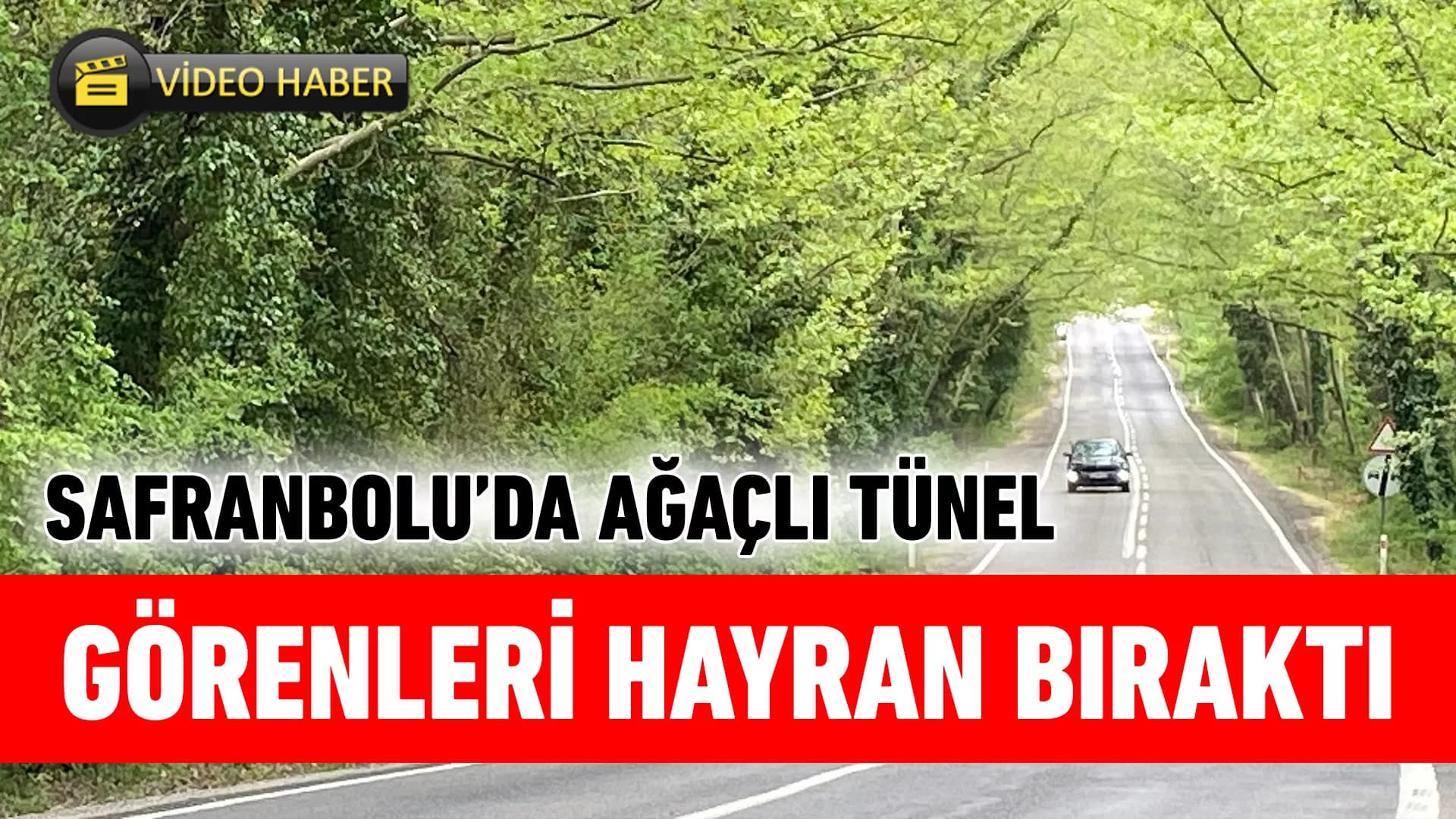 Safranbolu'daki ağaç tüneli hayran bırakıyor
