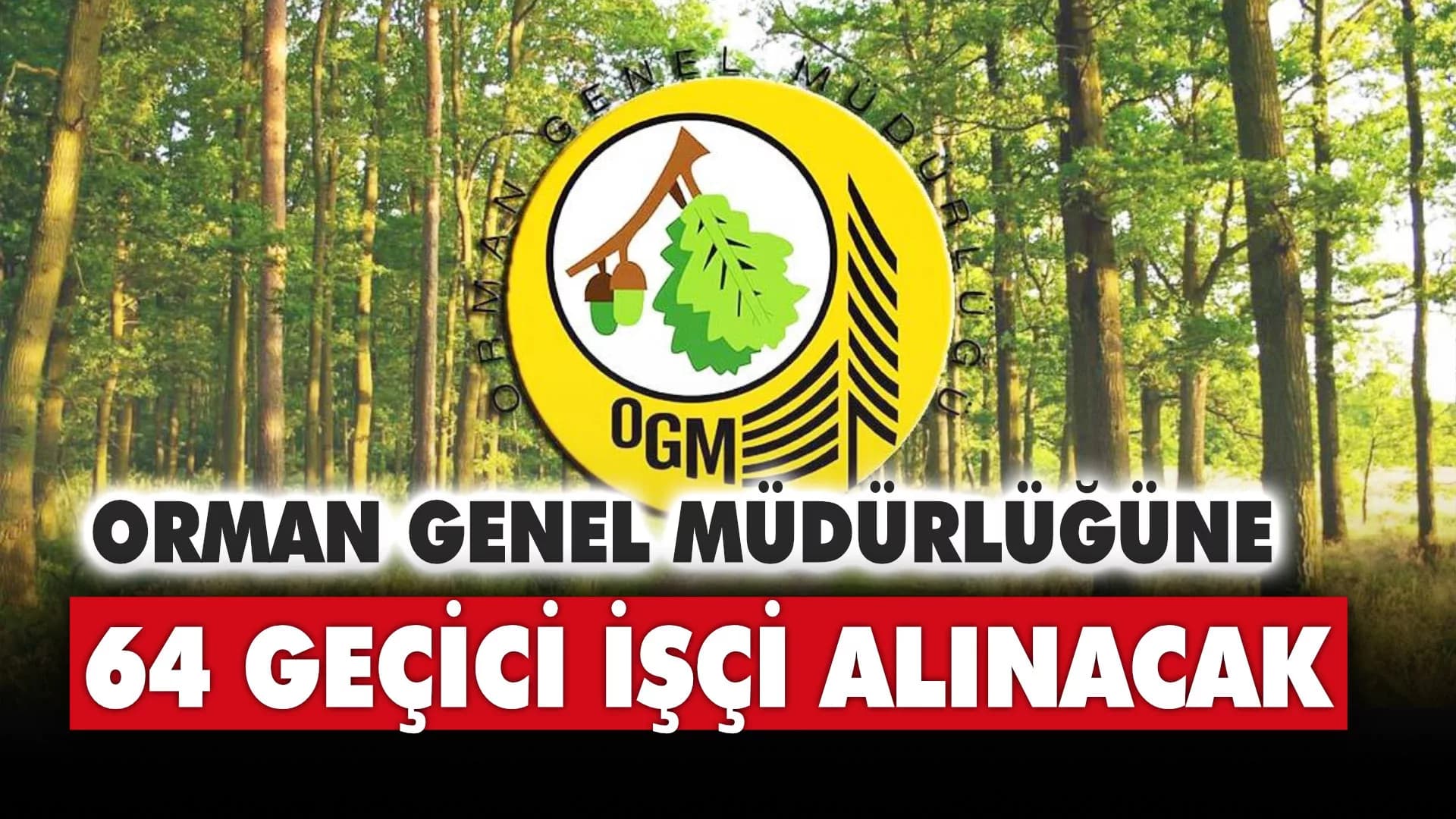 Orman Genel Müdürlüğüne 64 Geçici İşçi Alınacak