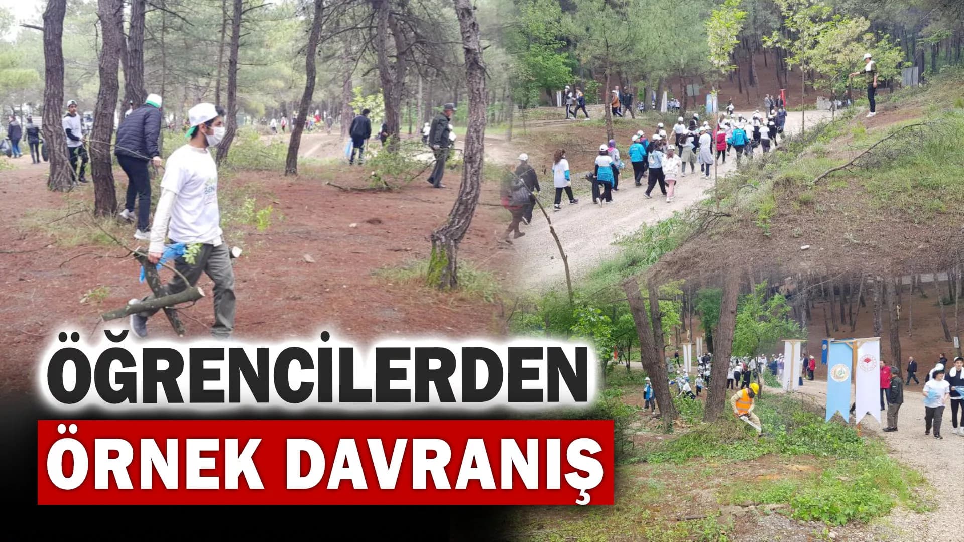 Öğrenciler ormandaki yanıcı materyalleri temizledi