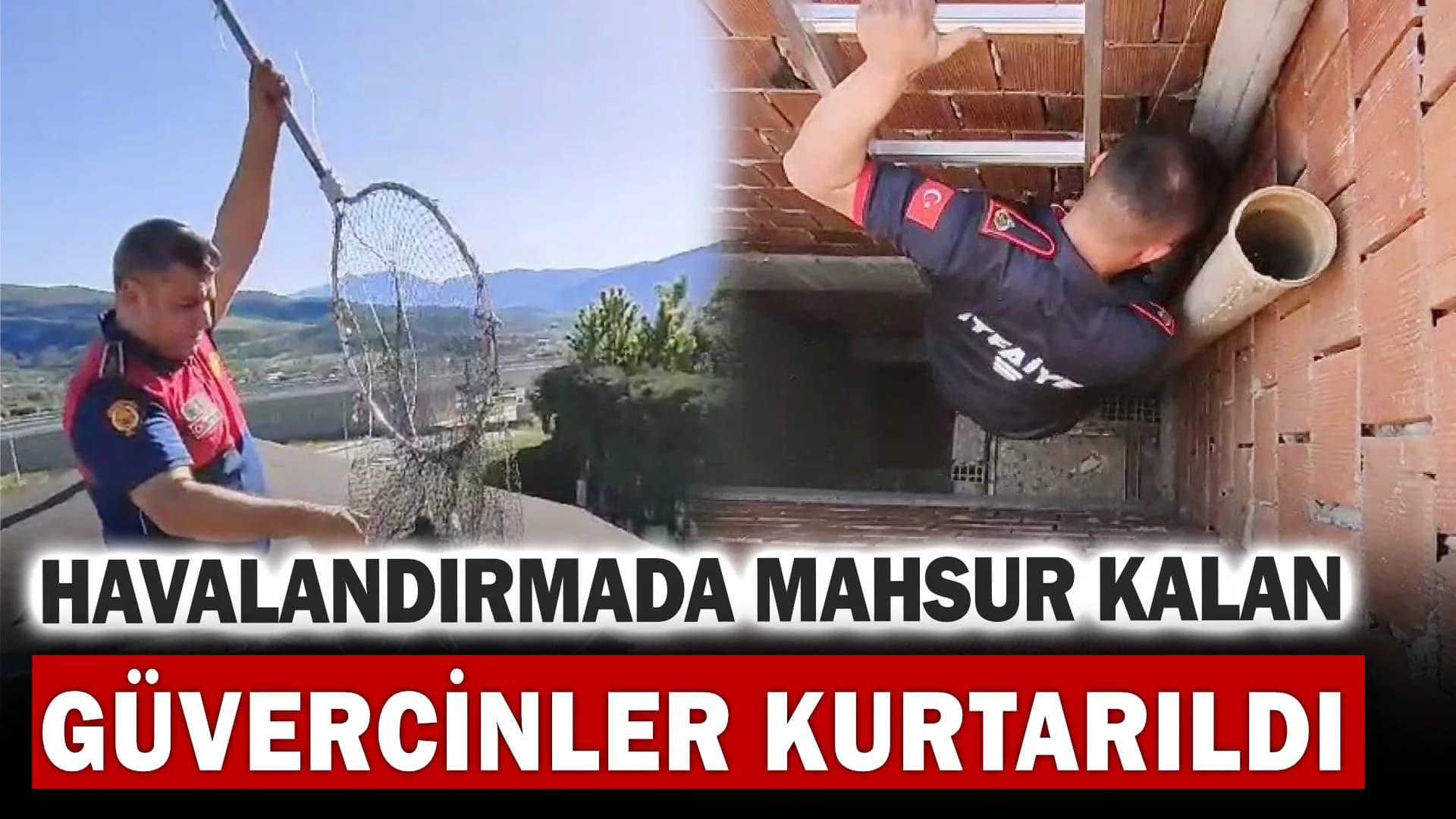 Havalandırmada mahsur kalan yavru güvercinler kurtarıldı