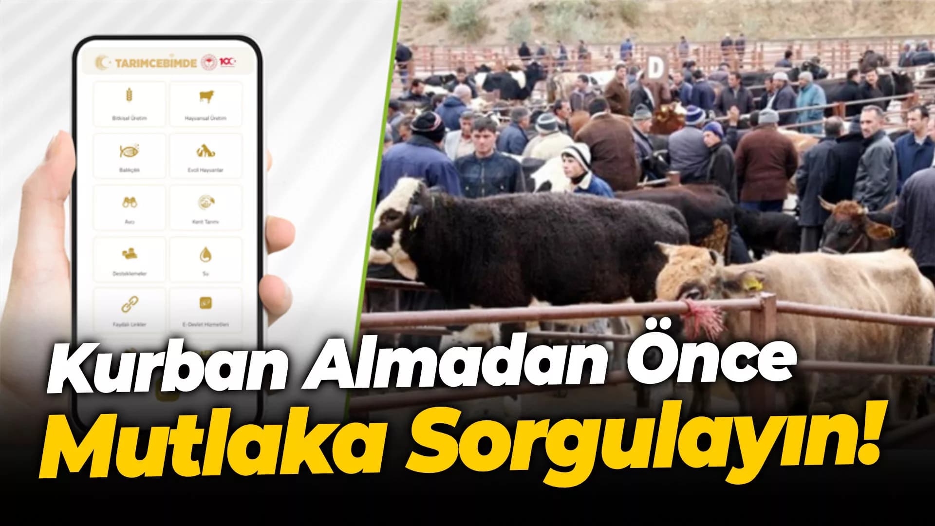 Kurban Almadan Önce Tarım Cebimde de Sorgulayın!