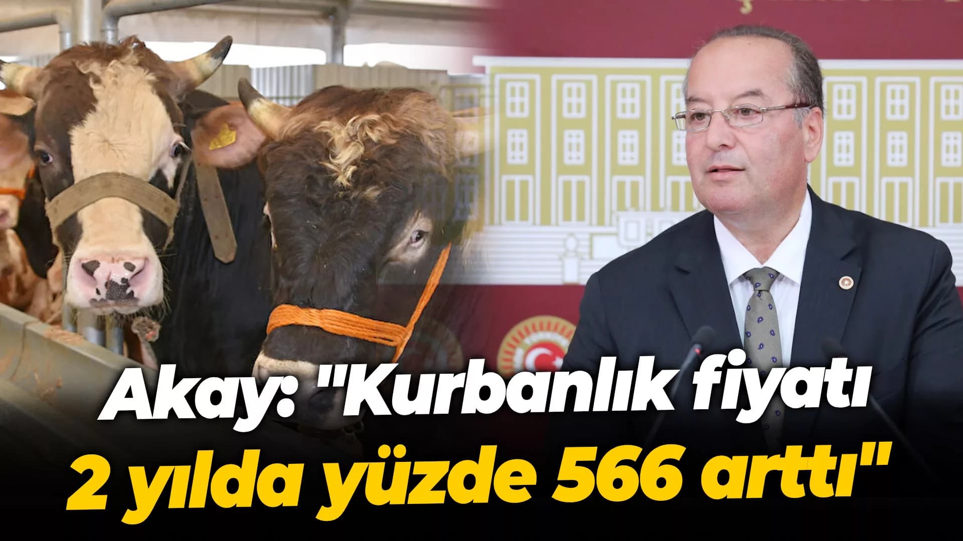 Akay: "Kurbanlık fiyatı 2 yılda yüzde 566 arttı"