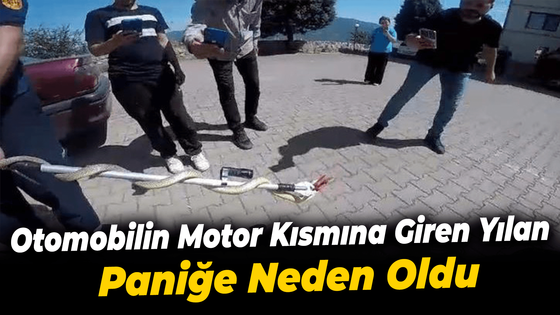 Otomobilin motor kısmına giren yılan paniğe neden oldu