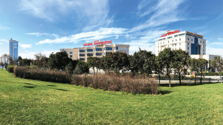 THE sıralamasında Türkiye’deki üniversitelerden başarı
