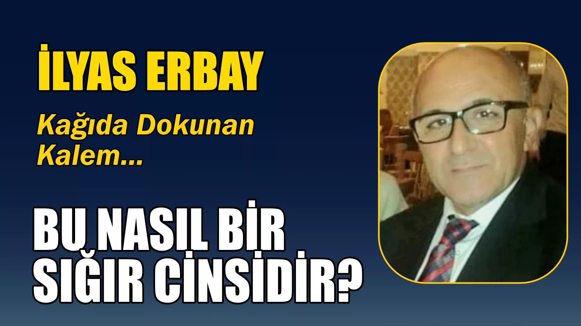 BU NASIL BİR SIĞIR CİNSİDİR?