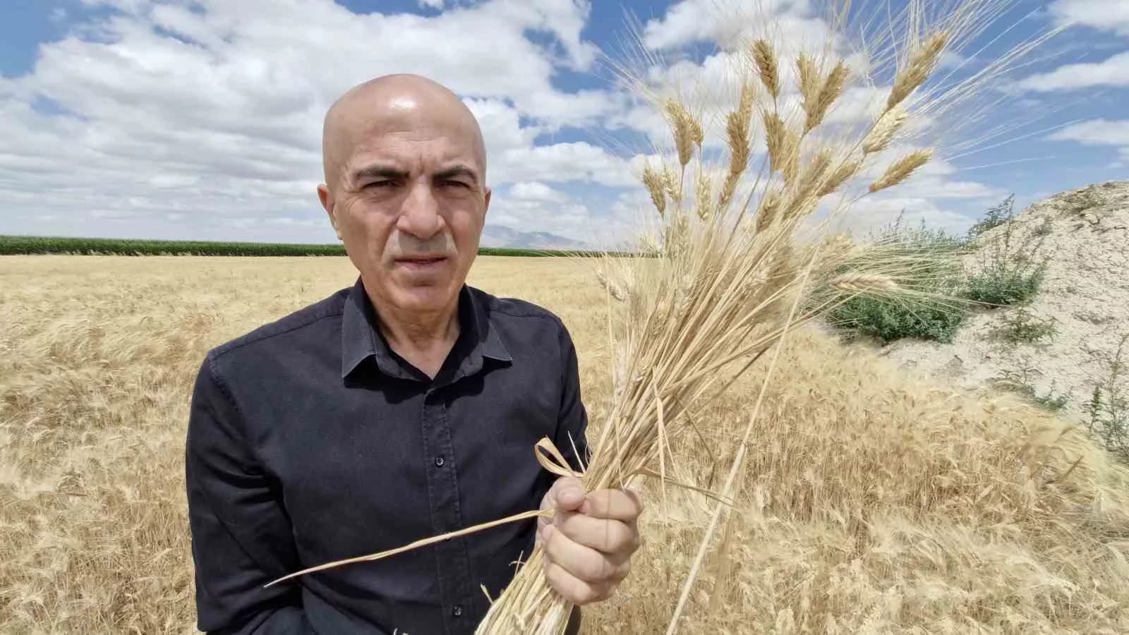 Hububattaki rekolte düşüklüğü