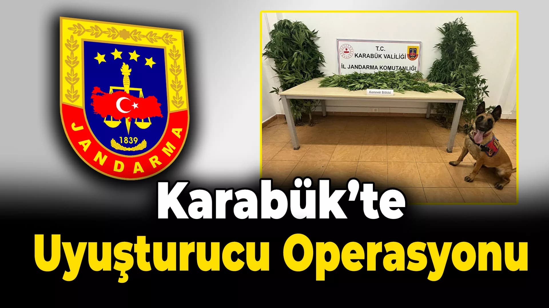 Karabük jandarmadan uyuşturucu operasyonu