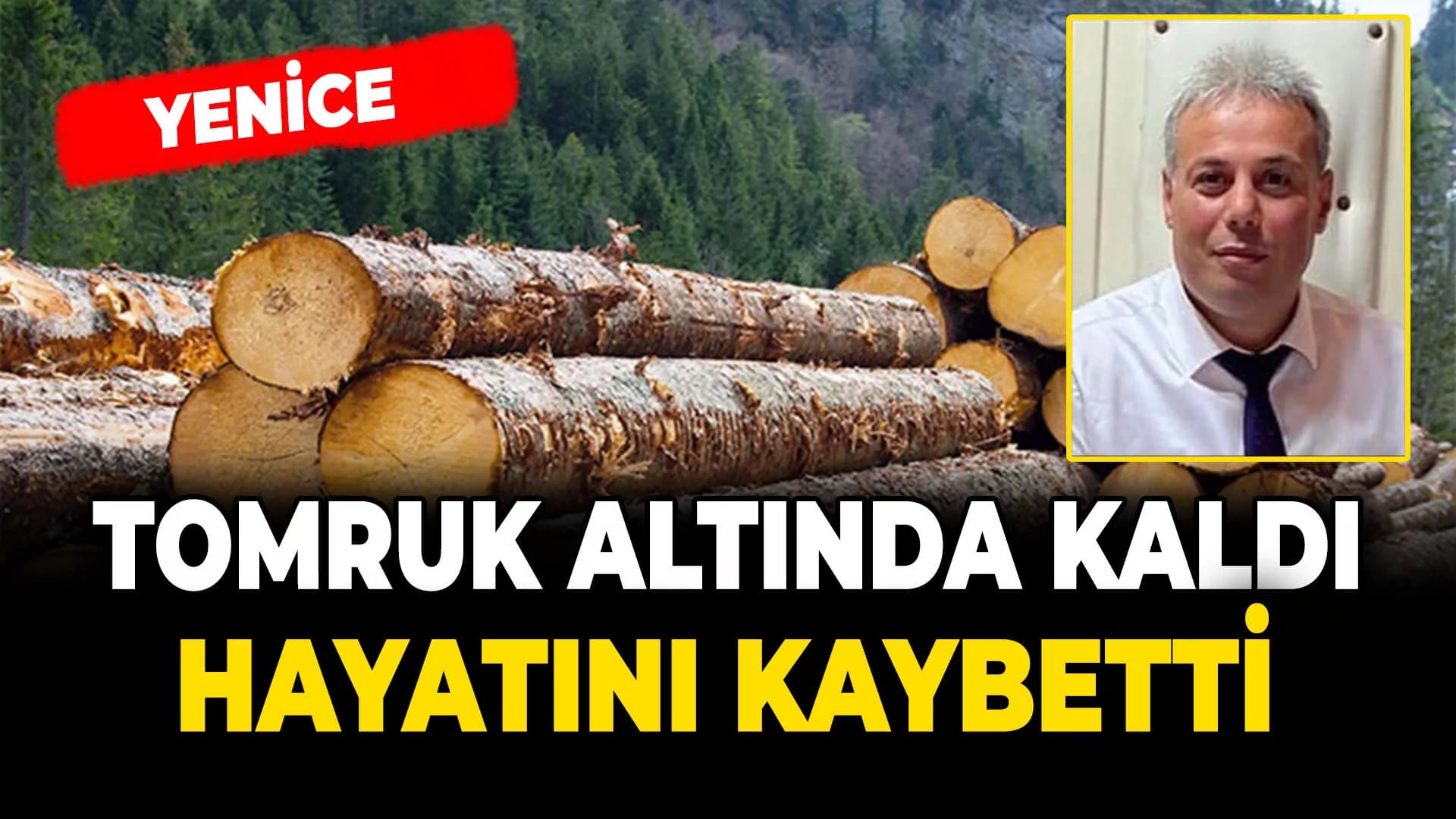 Yenice'de tomruk altında kalan işçi hayatını kaybetti