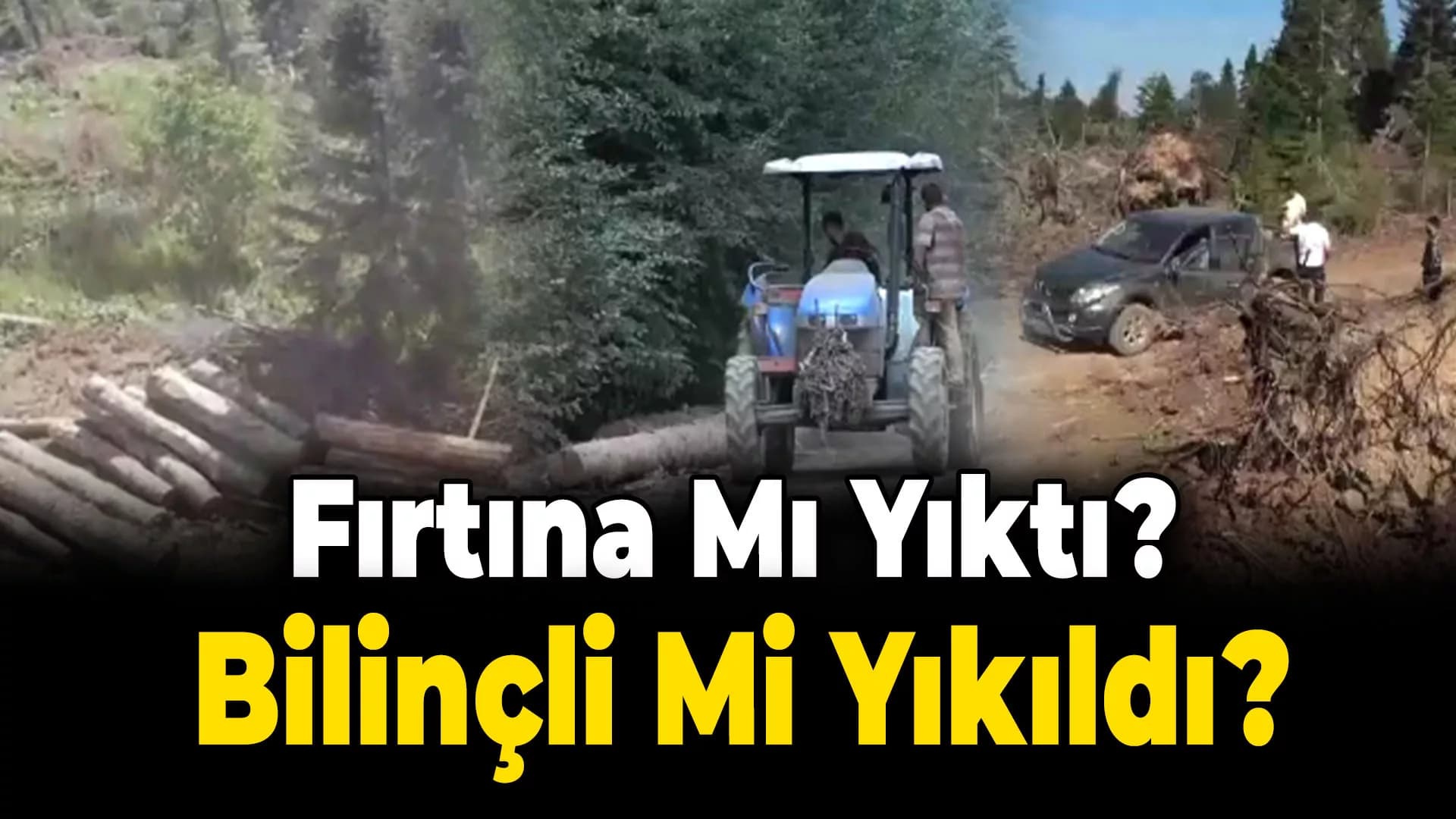 Fırtına mı Yıktı, Bilinçli mi Yıkıldı?