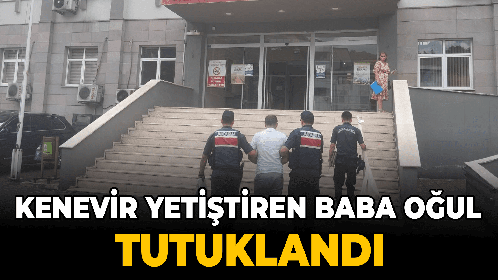 Kenevir bitkisi yetiştiren baba ve oğlu tutuklandı