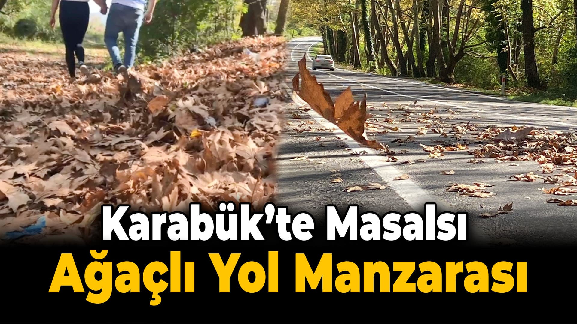 Ağaç Tünelli Yollarda Sonbahar Cümbüşü