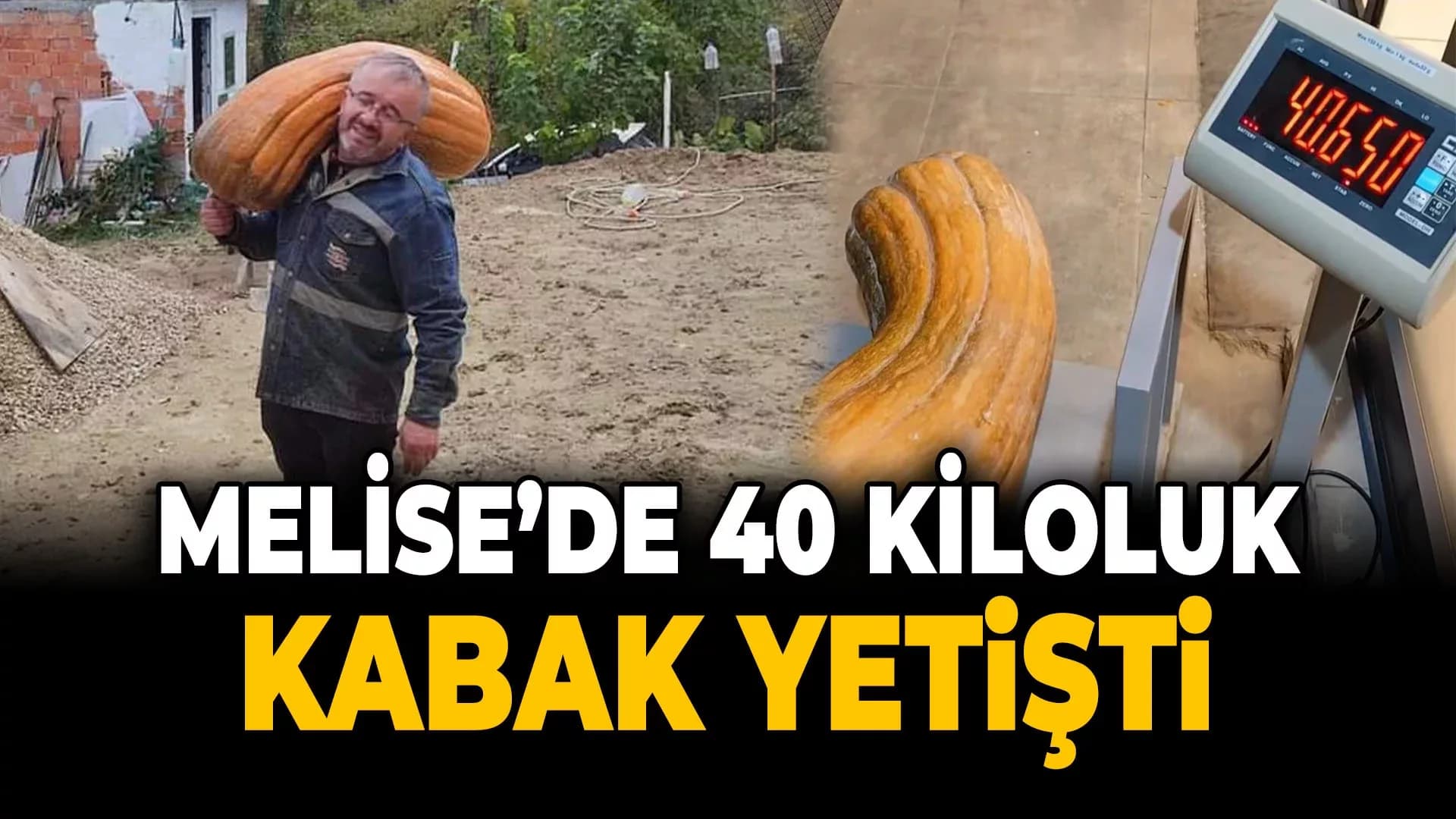 Bahçesinde Yetişen Kabağı Görünce Şaşkınlığını Gizleyemedi