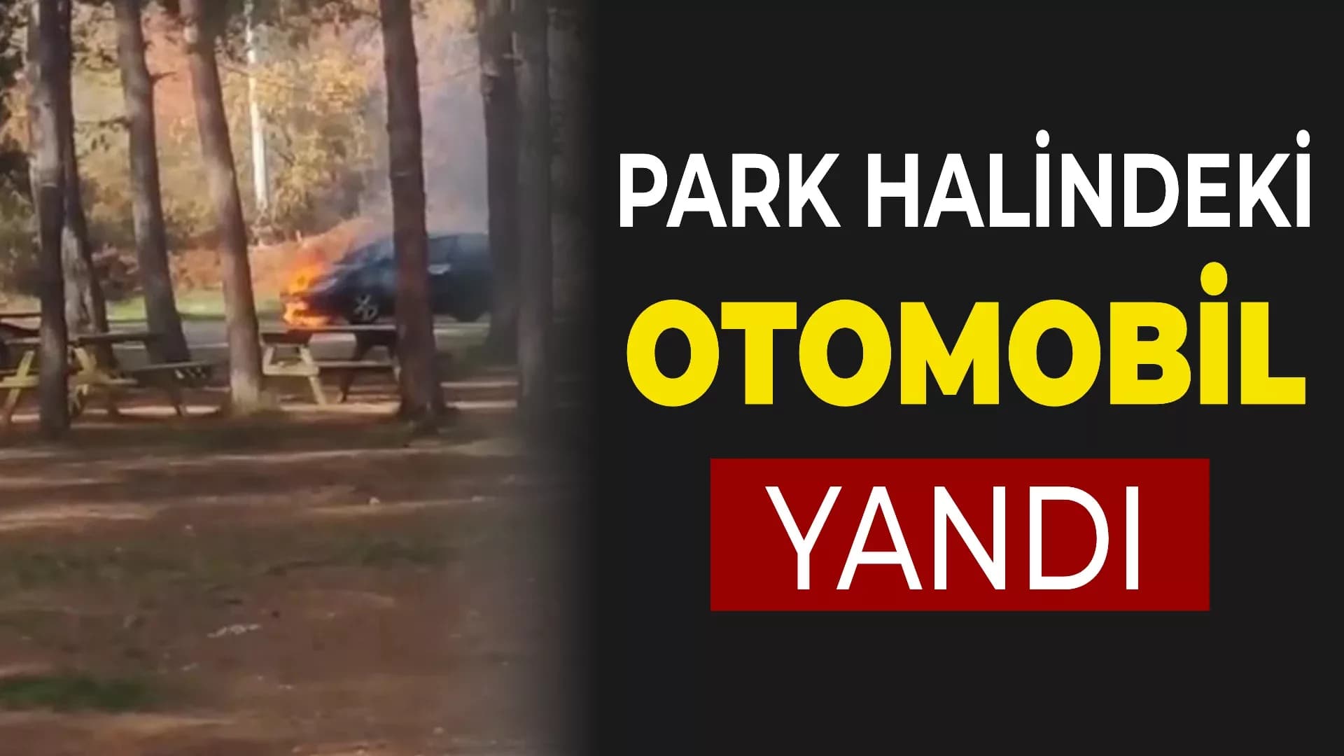 Park halindeki otomobil alev alev yandı
