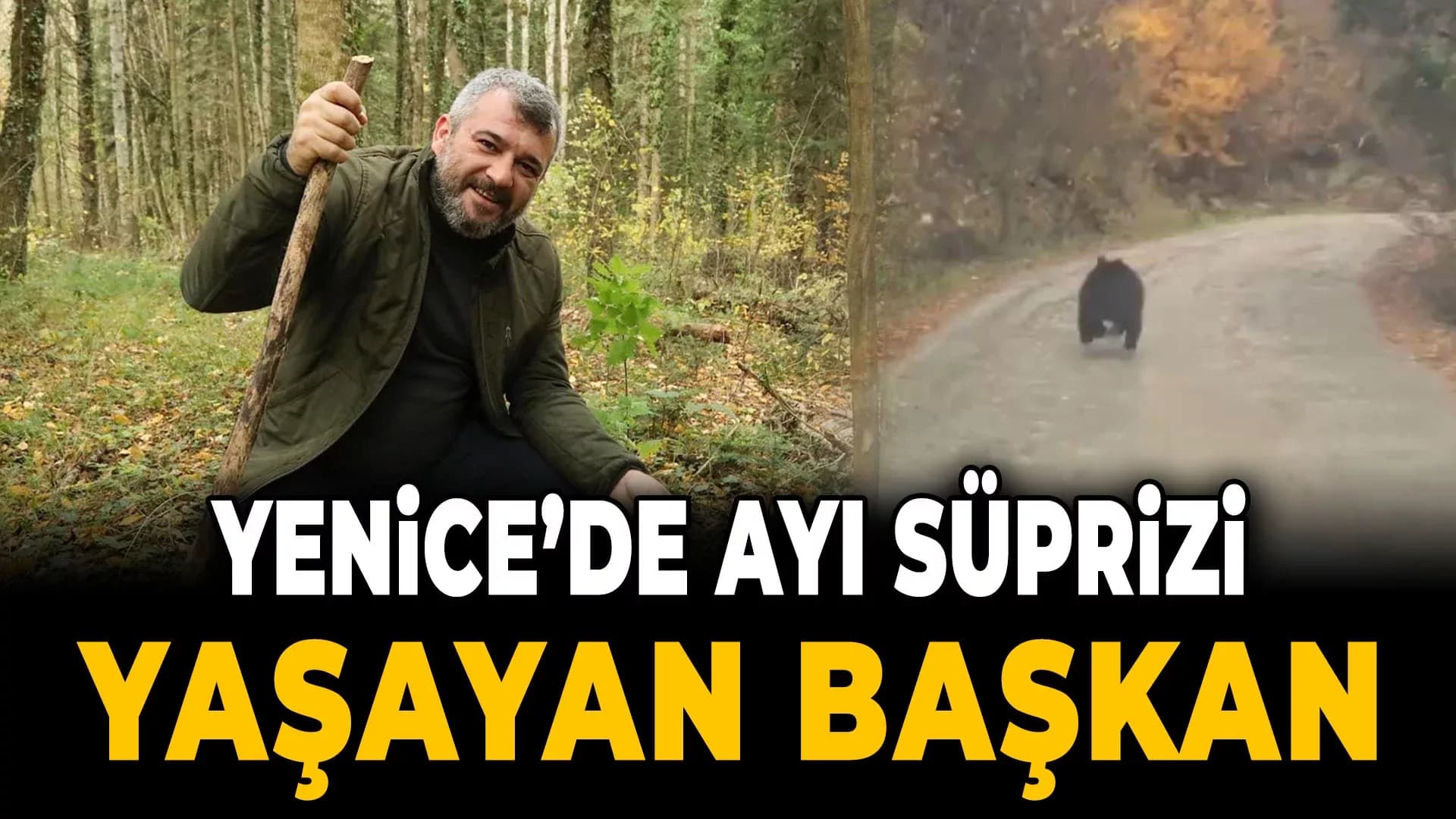 Belediye Başkanının Ayı Şaşkınlığı
