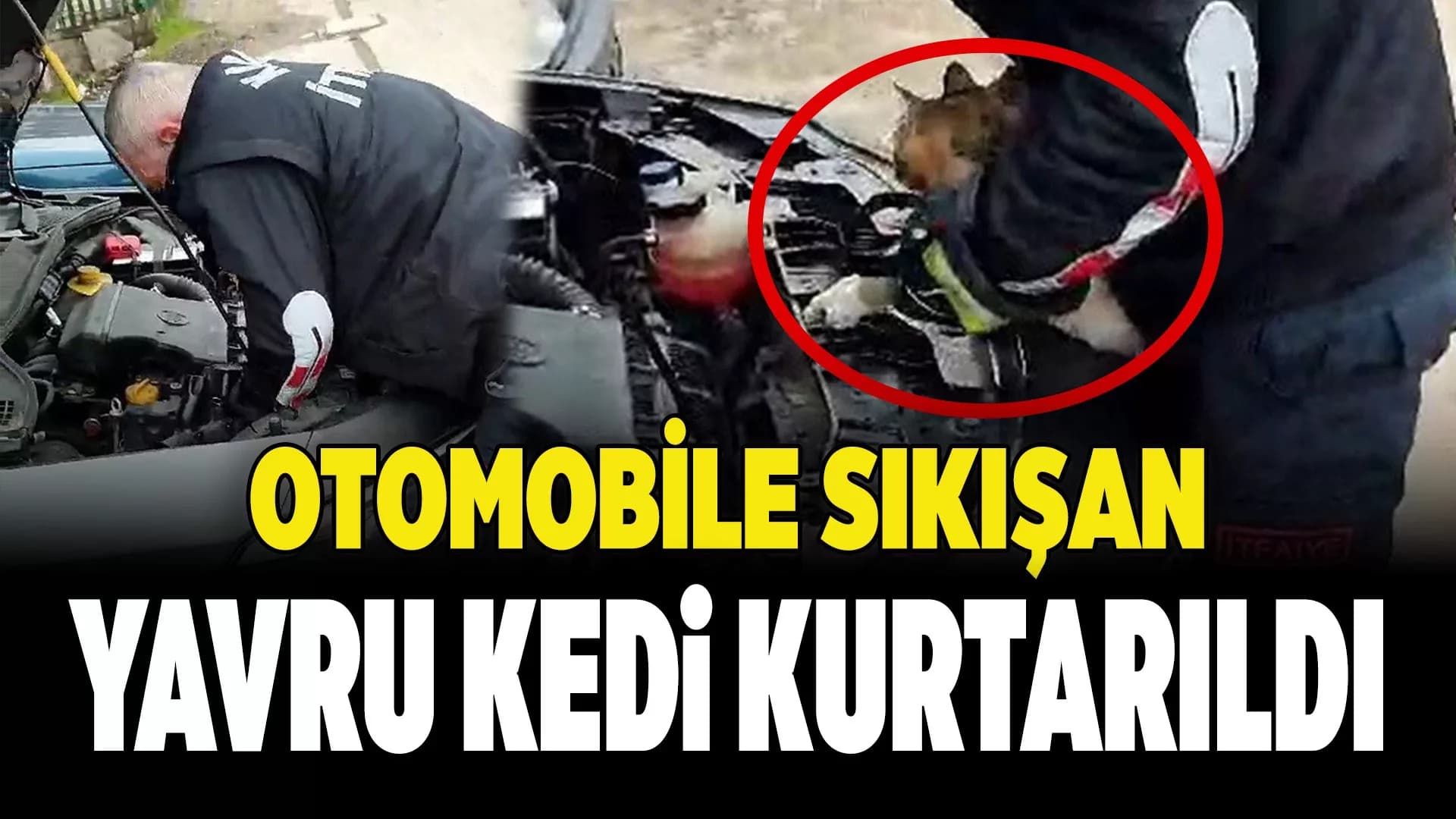 Otomobilin Kaputuna Giren Kedi Yavrusunu İtfaiye Ekipleri Kurtardı