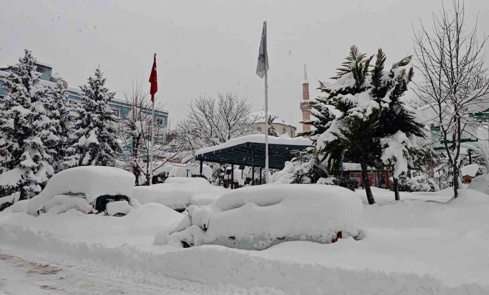 Artvin şehir merkezinde kar esareti