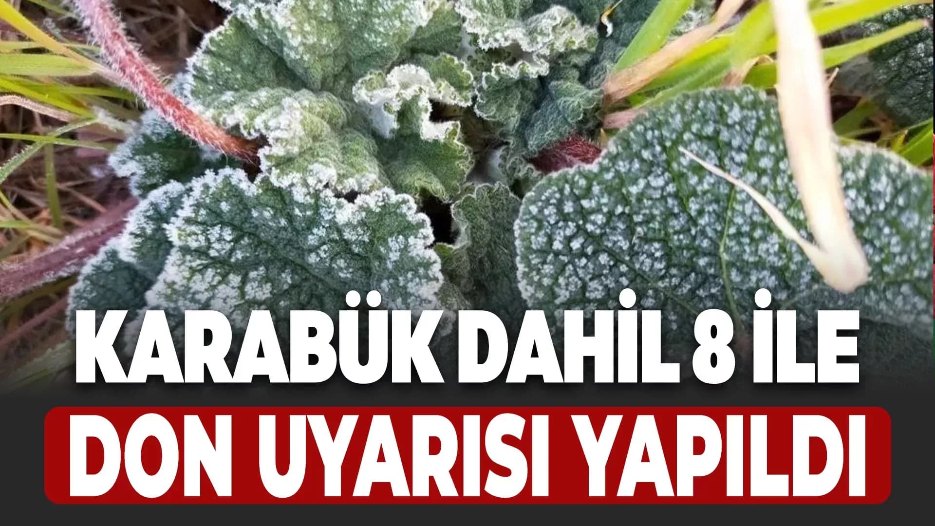 Batı Karadeniz’de Çiftçilere Don Uyarısı Yapıldı