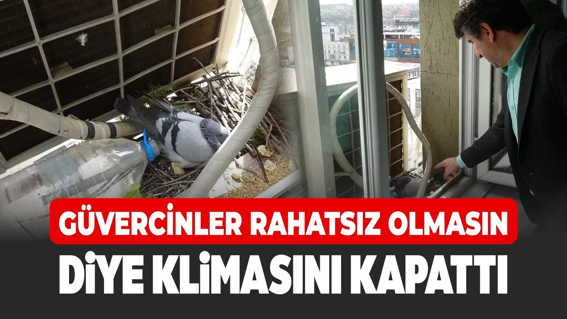 Güvercinler için klimasını kapattı