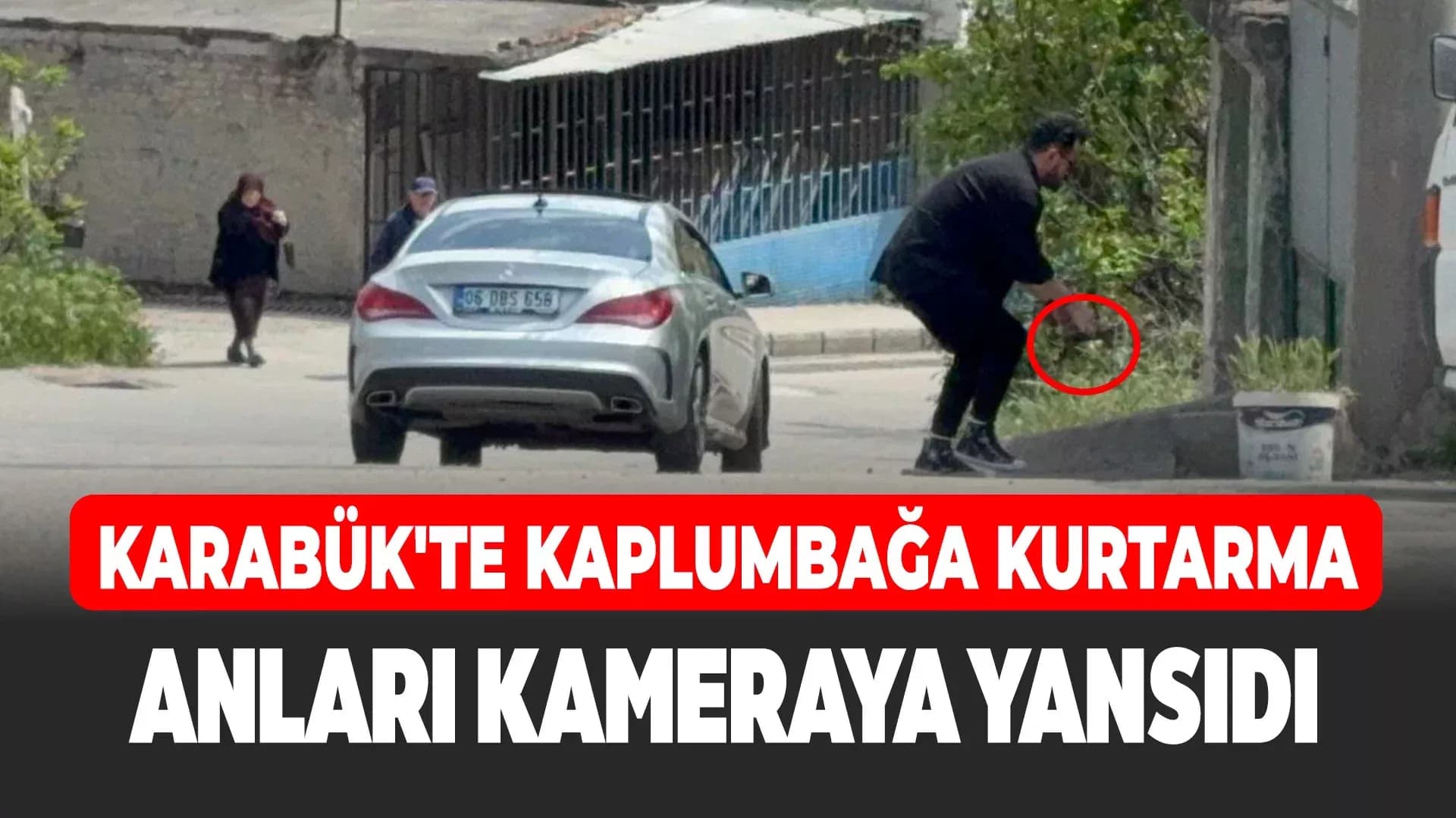 Duyarlı sürücü ve vatandaş, kaplumbağaları ezilmekten kurtardı