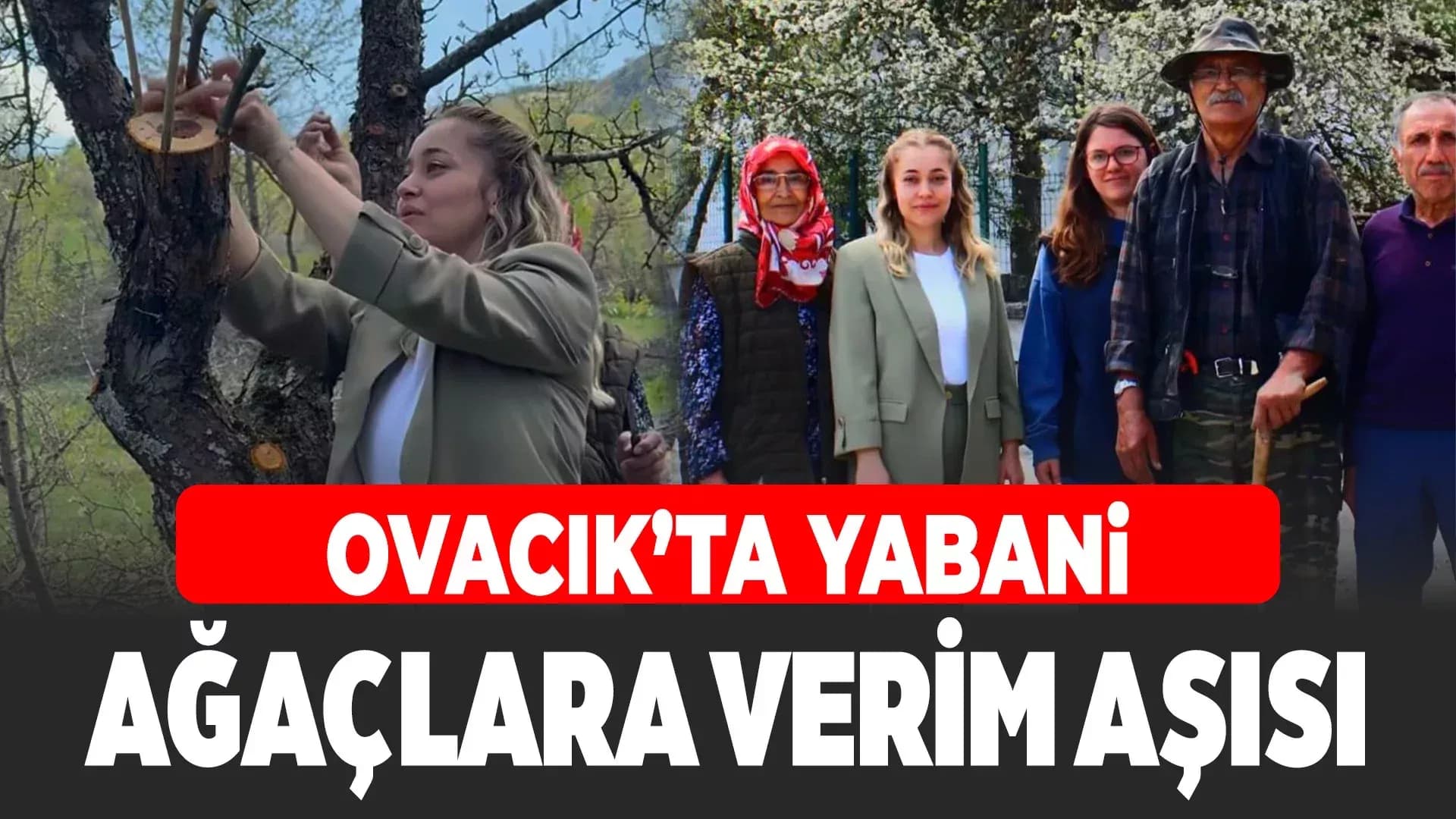 Ovacık Kaymakamından Çalman Ailesine Tam Destek