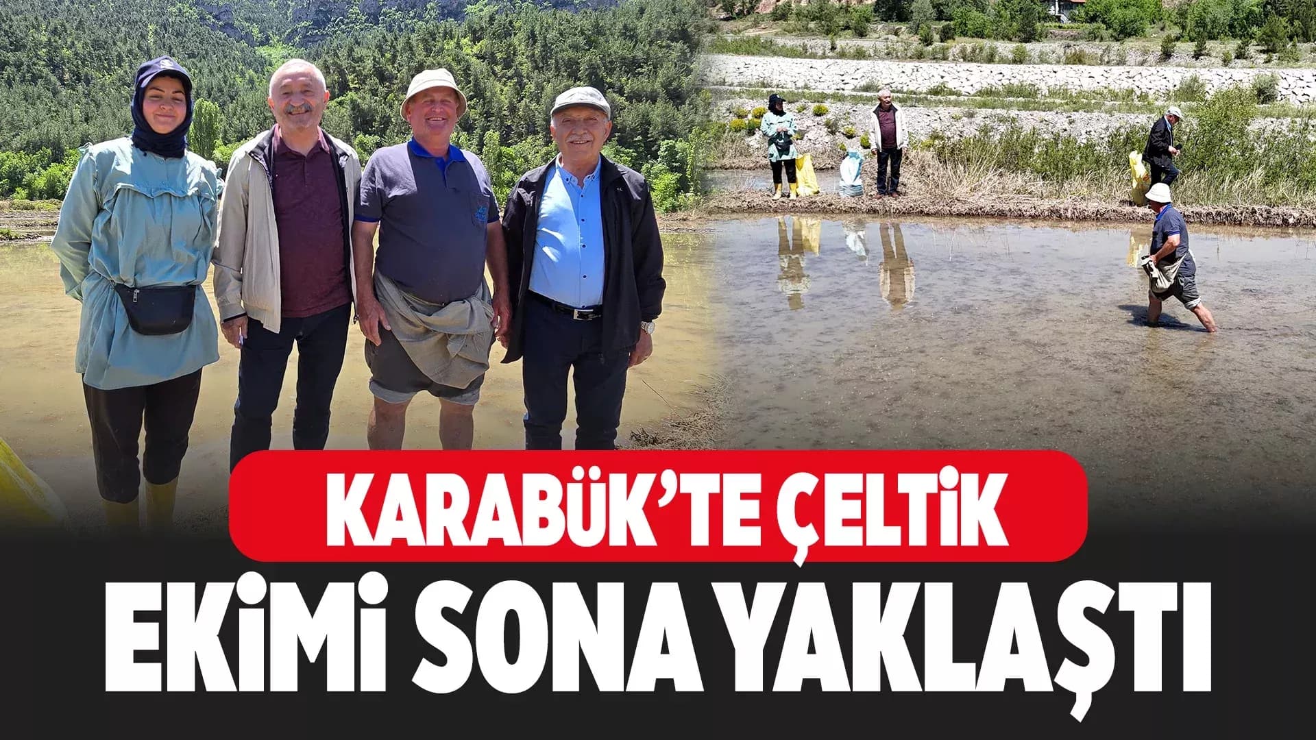 Karabük'te "Beyaz Altın" Çeltik Ekiminde Sona Yaklaşıldı