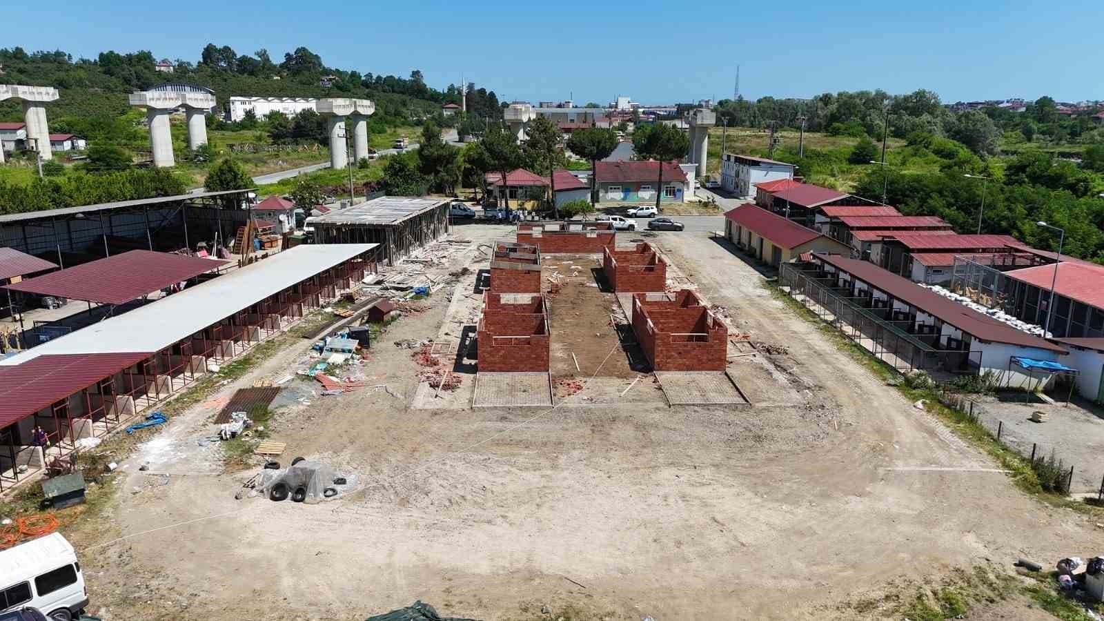 Ordu’da sokak hayvanlarına modern yaşam alanı