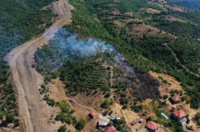 Çayır köyünde orman yangını korkuttu