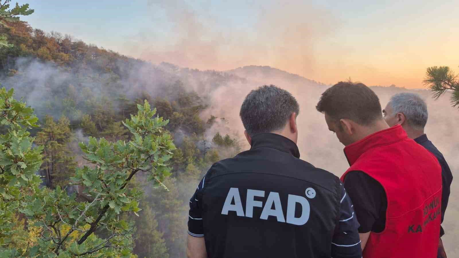 Bolu’daki orman yangını kontrol altına alındı