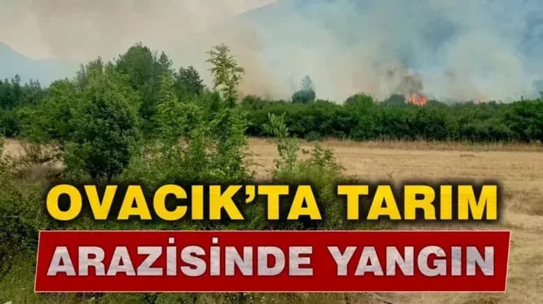 Karabük Ovacık’ta Tarım Arazisinde Yangın!