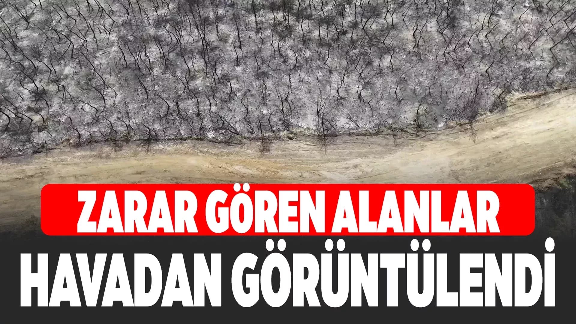 Karabük'te orman yangınında zarar gören alanlar dronla görüntülendi