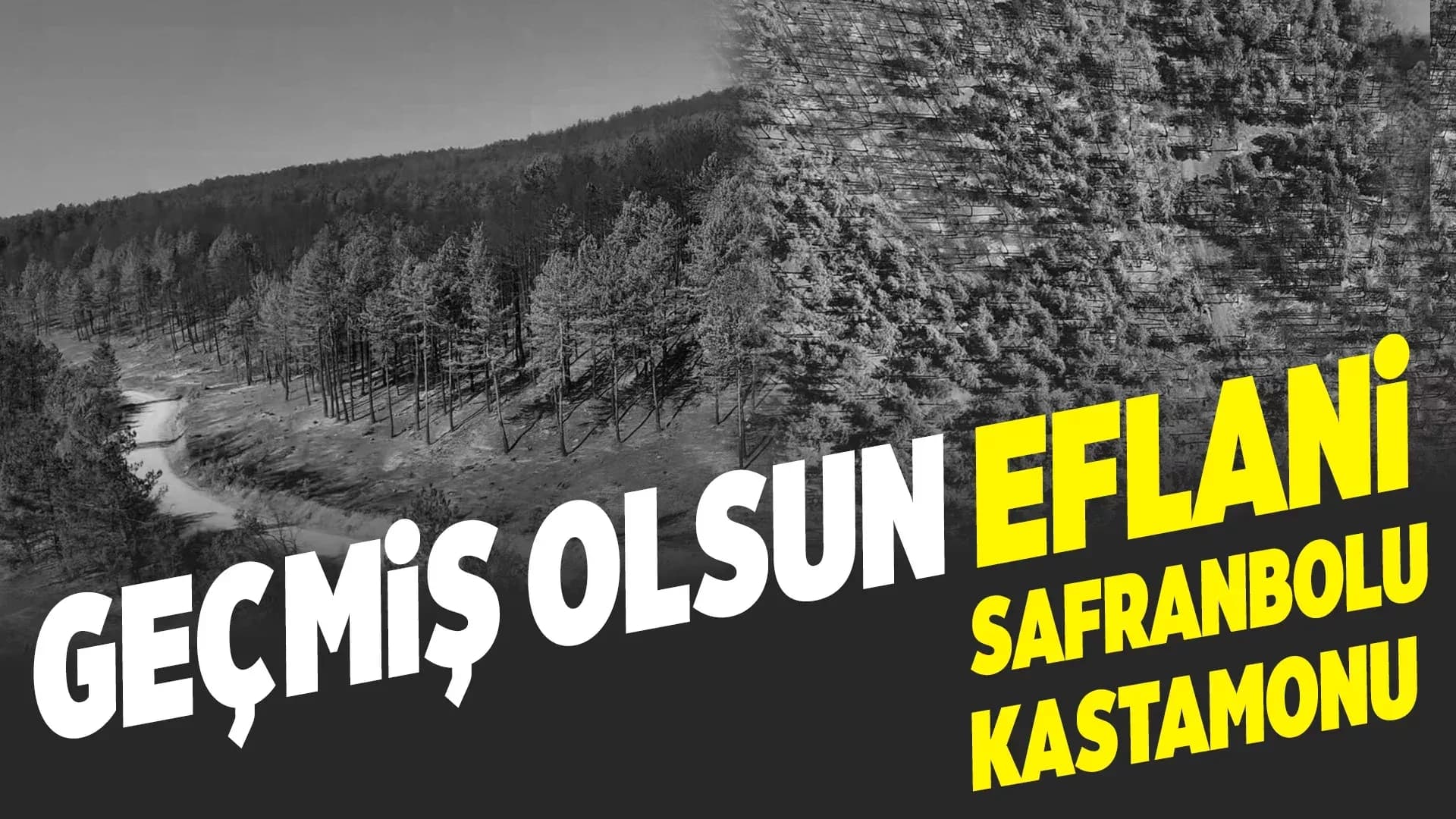 Karabük'teki orman yangınında geriye acı manzara kaldı