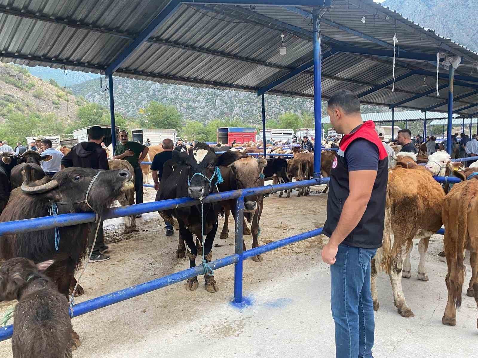 Hayvan pazarı şap hastalığı nedeniyle kapatıldı