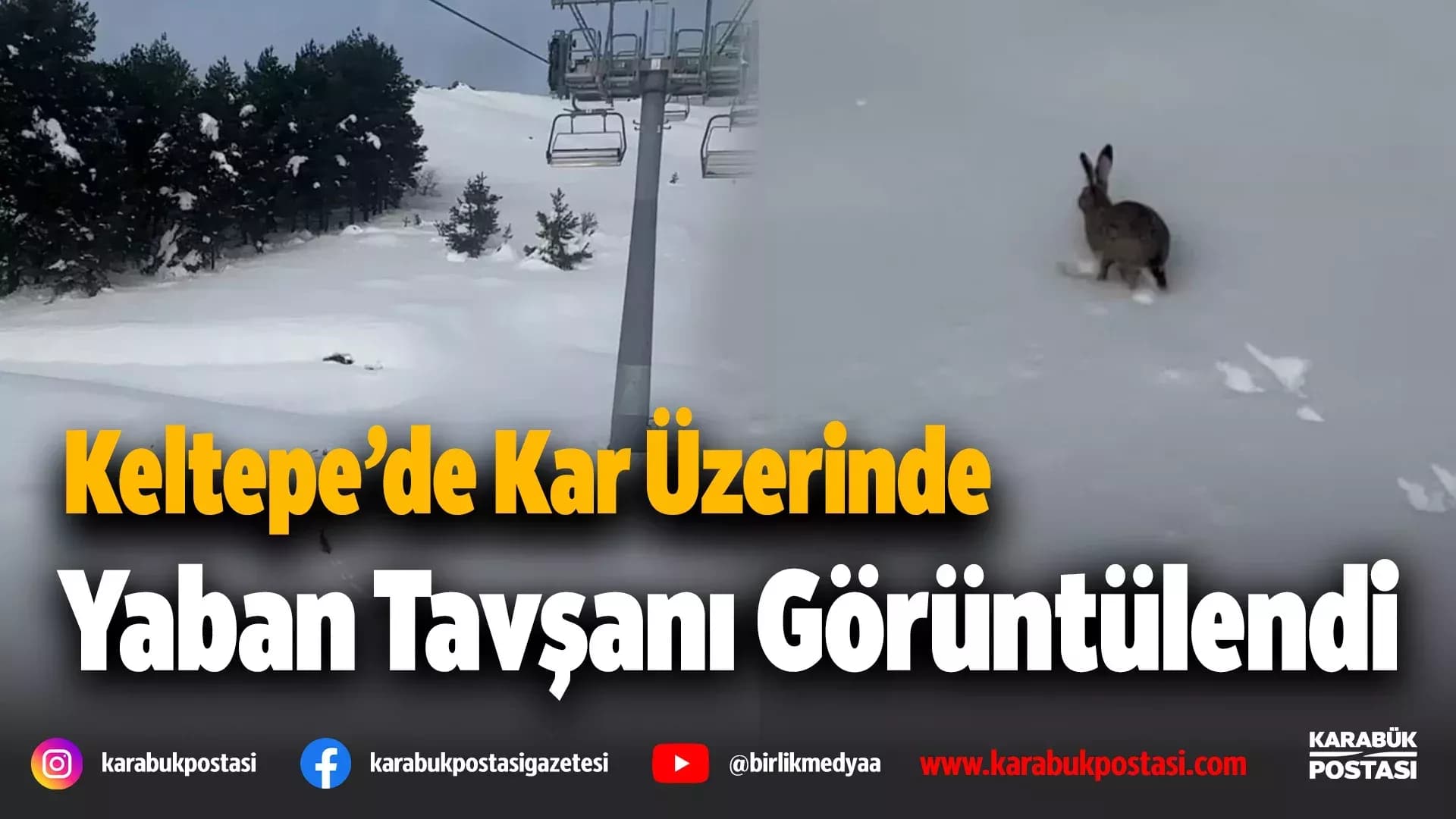 Karabük'te Kar Üzerinde Koşan Yaban Tavşanı Görüntülendi