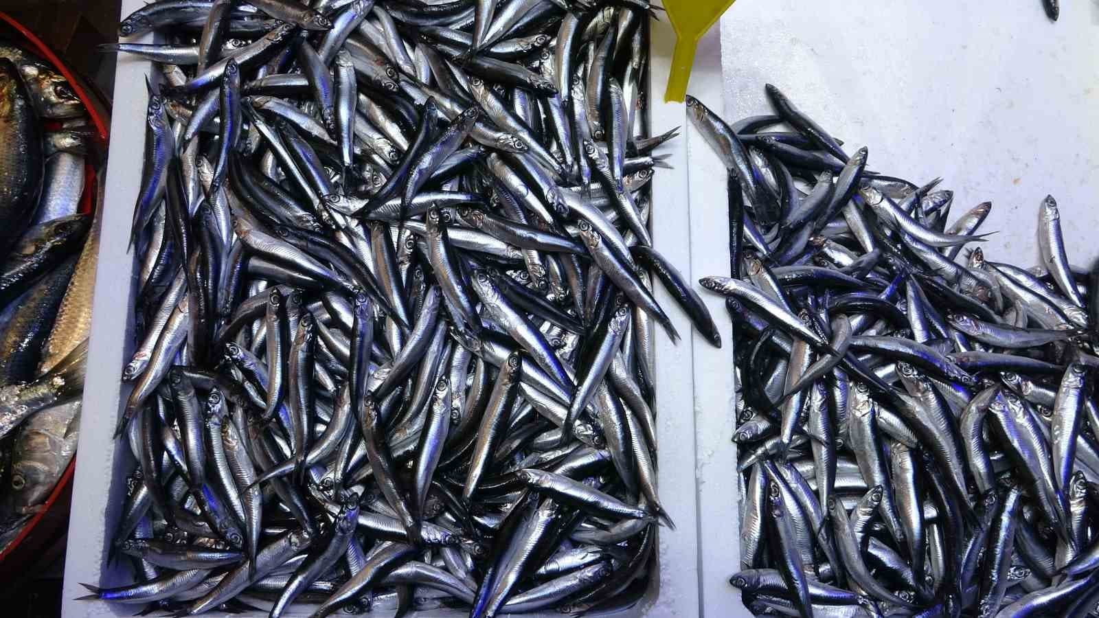 Türkiye’nin hamsi ihracatında Avrupa ülkeleri ilk sırada