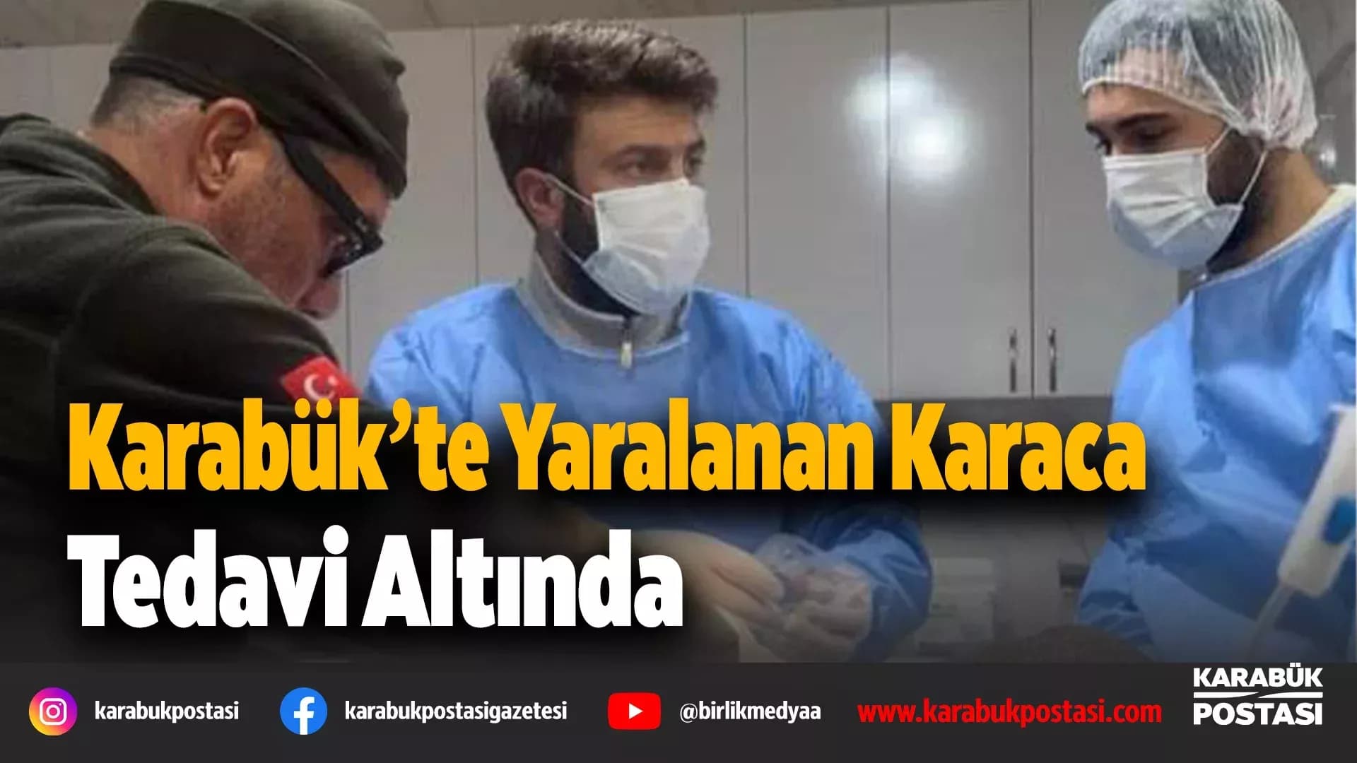 Karabük'te Aracın Çarptığı Karaca Ameliyat Edildi