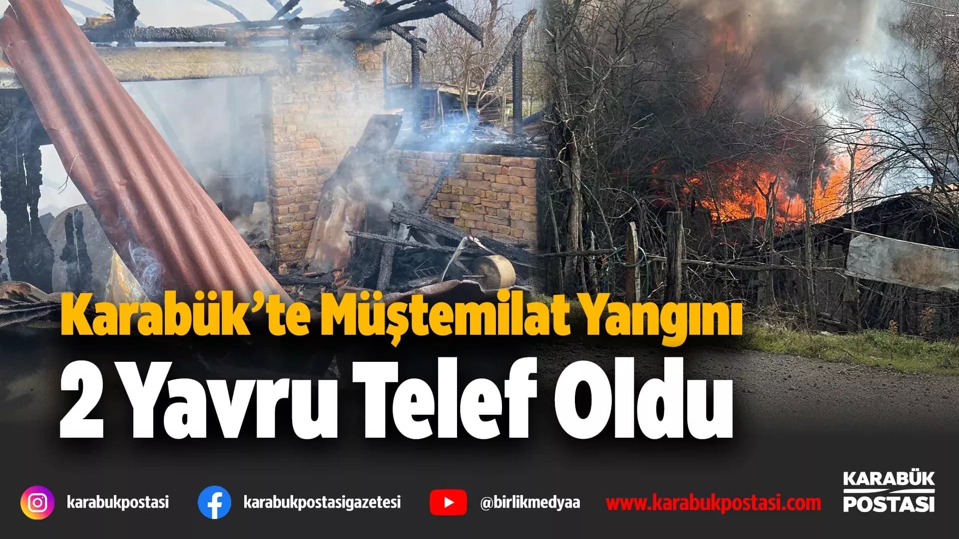 Karabük'te müştemilat yangını: 2 köpek yavrusu telef oldu