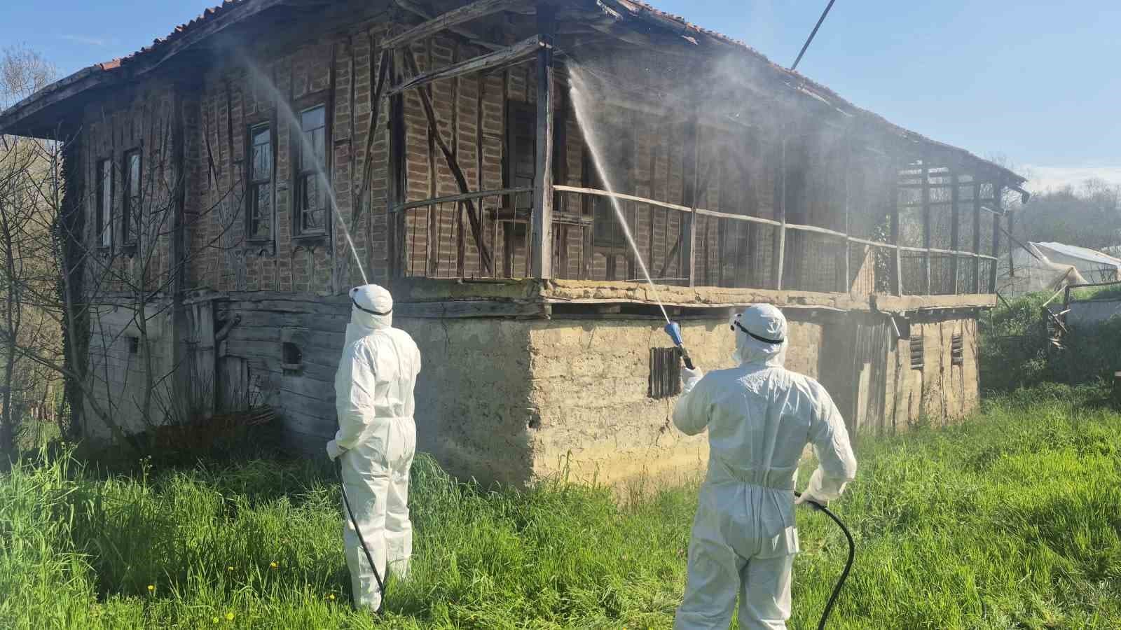 Bartın’da kahverengi kokarca kış uykusunda yok edilecek