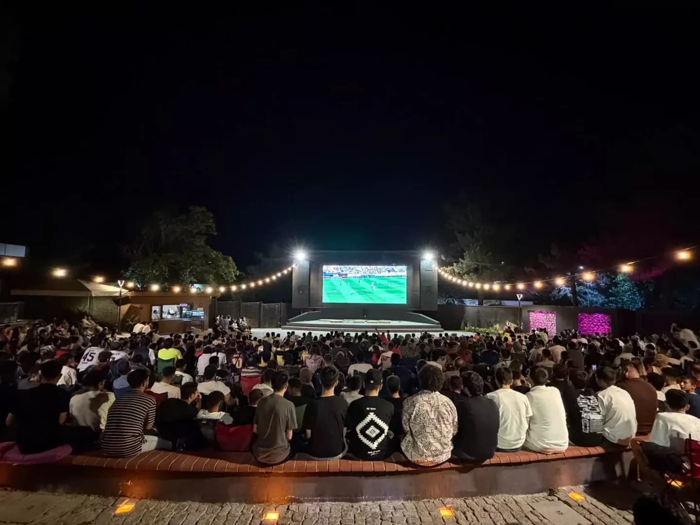 Dünya kupası final heyecanı Yenişehir yazlık sinemada yaşandı