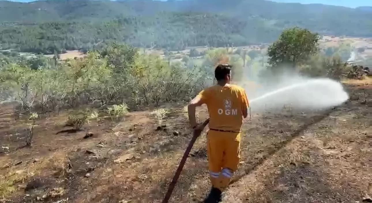 Karabük’te korkutan anız yangını büyümeden söndürüldü