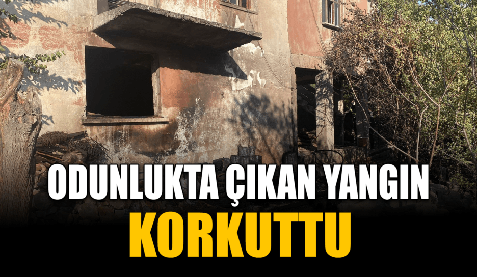 Karabük'te odunlukta çıkan yangın korkuttu