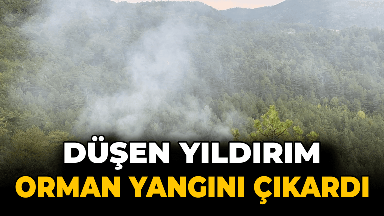 Karabük'te düşen yıldırım orman yangını çıkardı