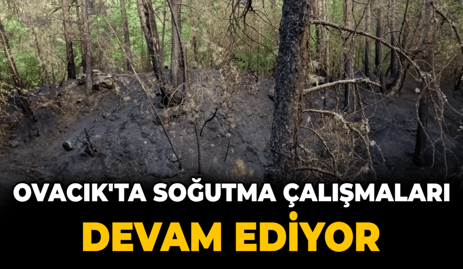 Karabük Ovacık'taki orman yangını kontrol altına alındı