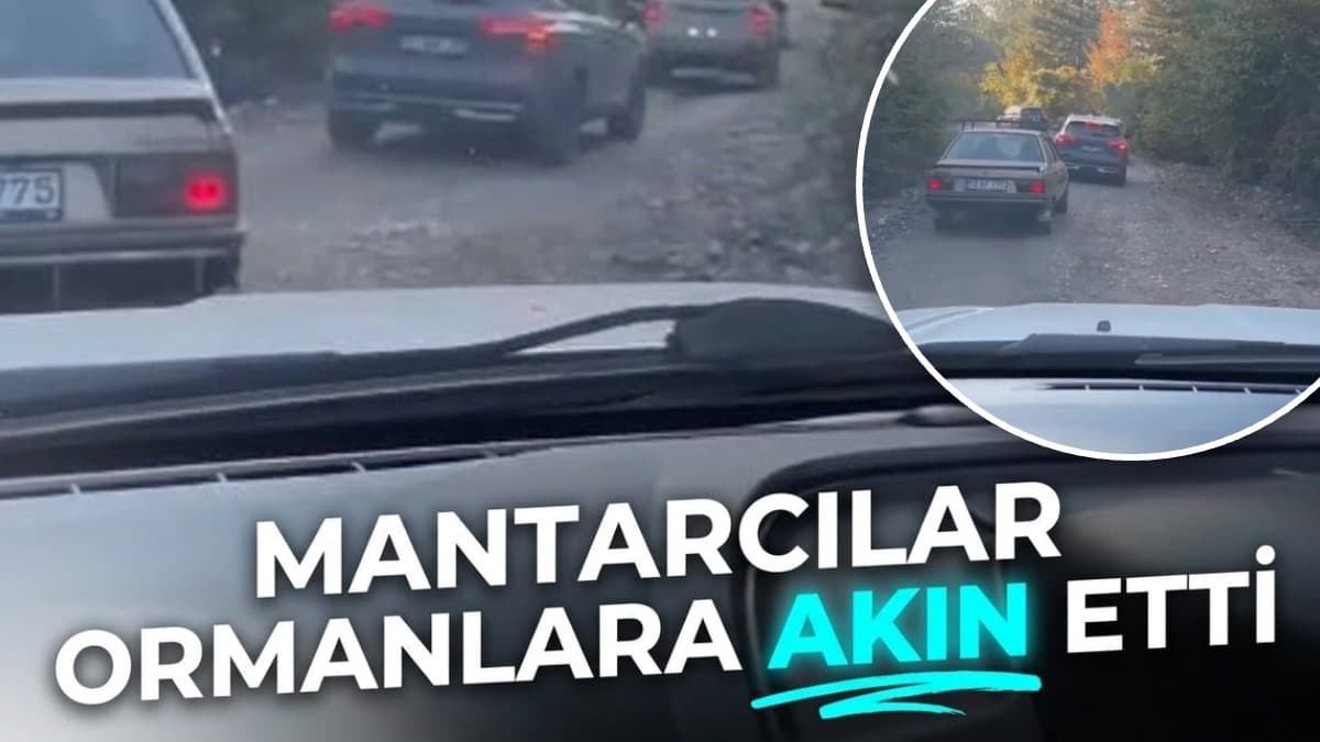 Karabük'te orman yasağı kalktı mantar avı başladı